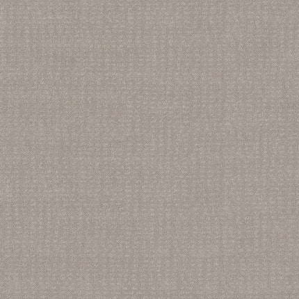 CHIC NUANCE - 5E341 - 00104 - Carpet