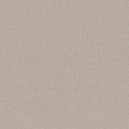 CHIC NUANCE - 5E341 - 00103 - Carpet