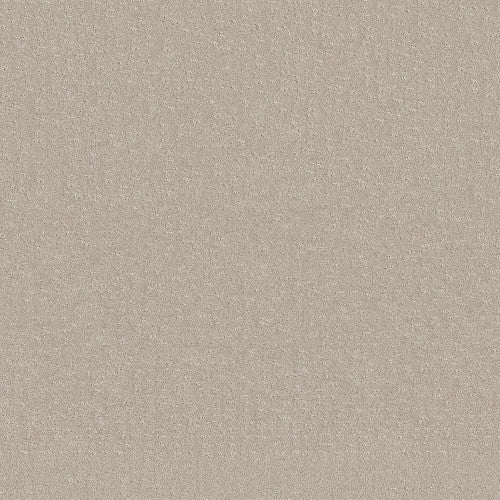 CHIC NUANCE - 5E341 - 00103 - Carpet