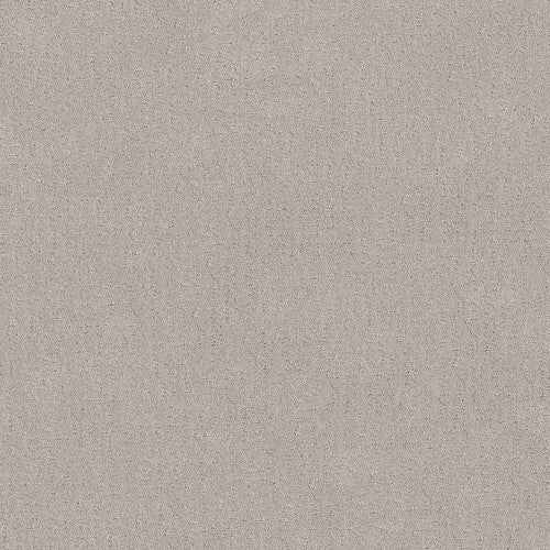 CHIC NUANCE - 5E341 - 00102 - Carpet