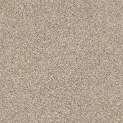CHIC SHADES - 5E342 - 00107 - Carpet