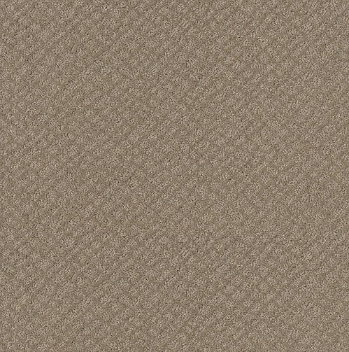 CHIC SHADES - 5E342 - 00701 - Carpet