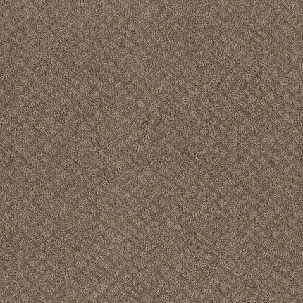 CHIC SHADES - 5E342 - 00720 - Carpet