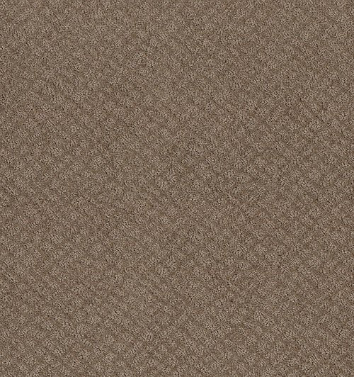 CHIC SHADES - 5E342 - 00720 - Carpet