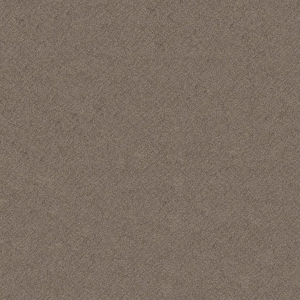 CHIC SHADES - 5E342 - 00751 - Carpet