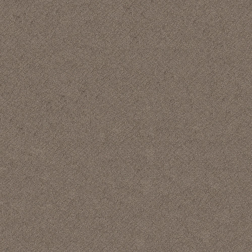 CHIC SHADES - 5E342 - 00751 - Carpet