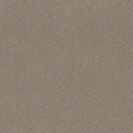 CHIC SHADES - 5E342 - 00700 - Carpet