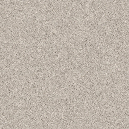 CHIC SHADES - 5E342 - 00101 - Carpet