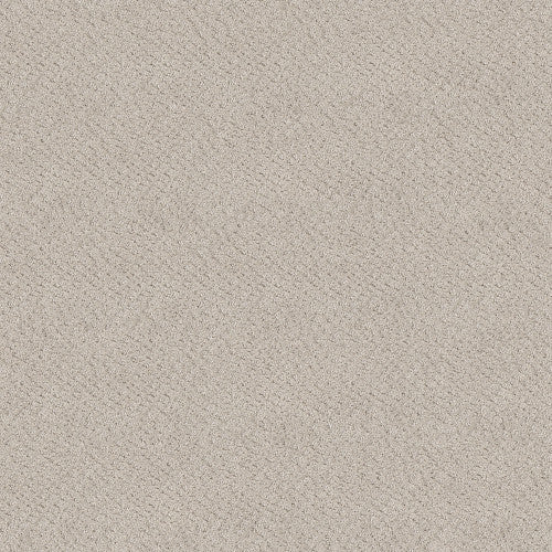 CHIC SHADES - 5E342 - 00101 - Carpet