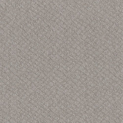 CHIC SHADES - 5E342 - 00500 - Carpet