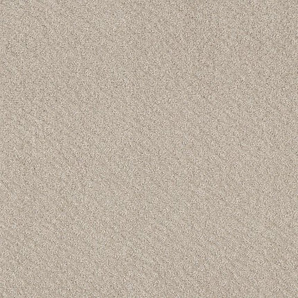 CHIC SHADES - 5E342 - 00103 - Carpet