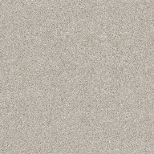 CHIC SHADES - 5E342 - 00102 - Carpet