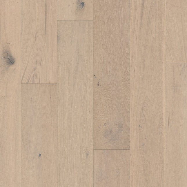 Coast To Coast - AA844-11079-Hardwood