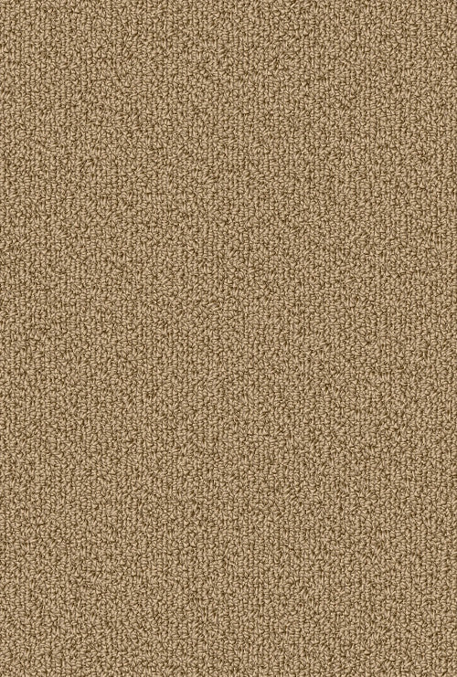 COLOR ACCENTS BL - 54584 - 62122 - Carpet