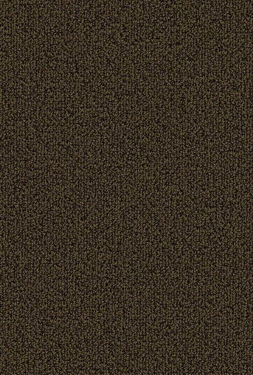 COLOR ACCENTS BL - 54584 - 62309 - Carpet