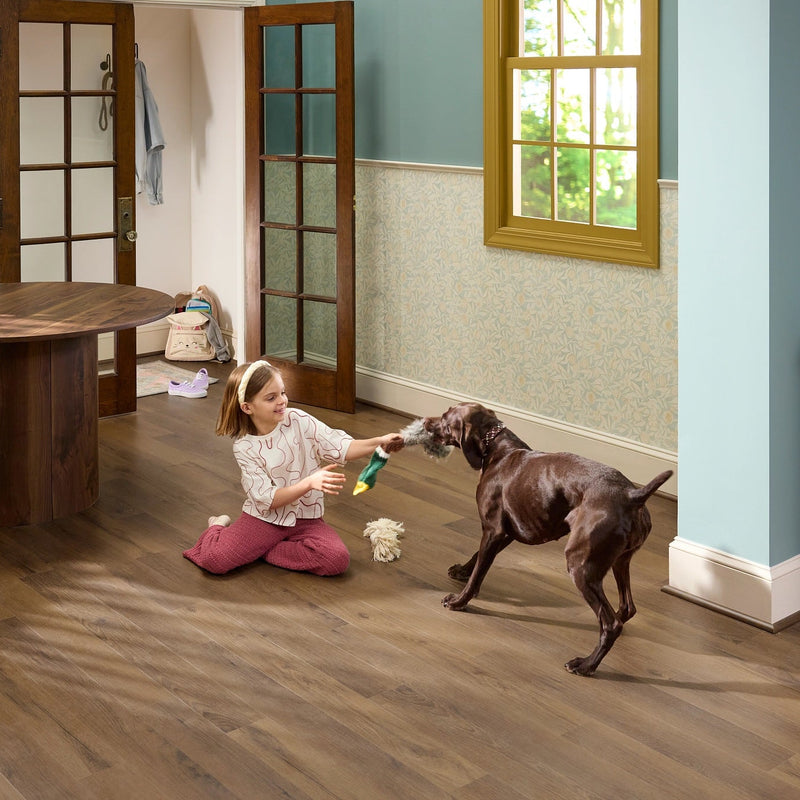 Child playing with a dog in a home interior setting