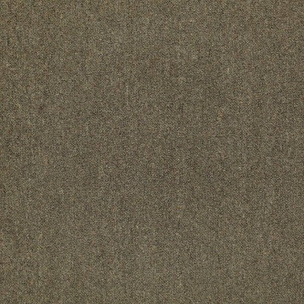 COUNTERPART - 54816 - 16705 - Carpet Tile