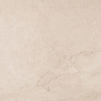 Mural Taupe