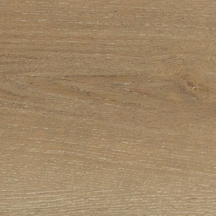 Daltile - Bellamy Place - DAL-BELLAMYP-01 - Porcelain Tile