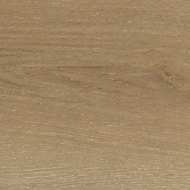 Daltile - Bellamy Place - DAL-BELLAMYP-01 - Porcelain Tile