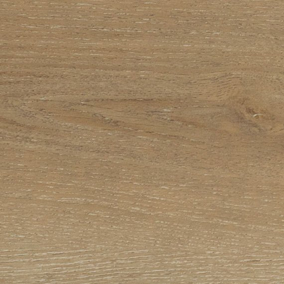 Daltile - Bellamy Place - DAL-BELLAMYP-01 - Porcelain Tile