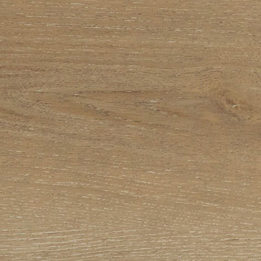 Daltile - Bellamy Place - DAL-BELLAMYP-01 - Porcelain Tile