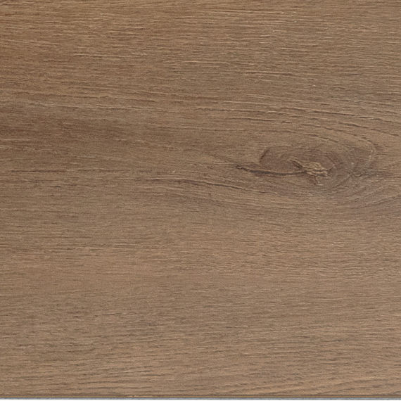 Daltile - Bellamy Place - DAL-BELLAMYP-02 - Porcelain Tile