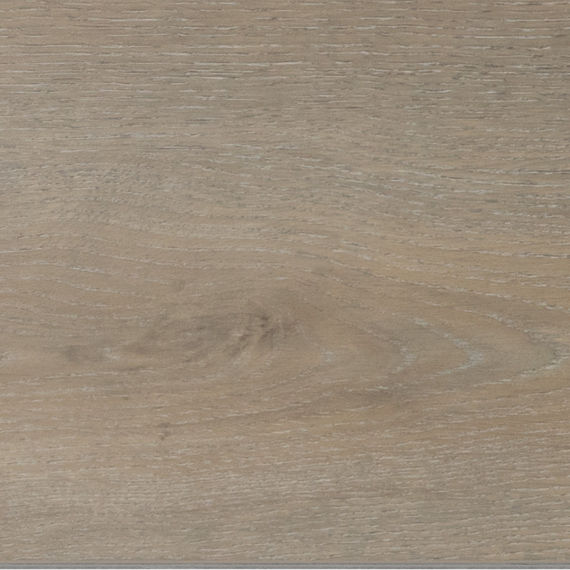 Daltile - Bellamy Place - DAL-BELLAMYP-06 - Porcelain Tile