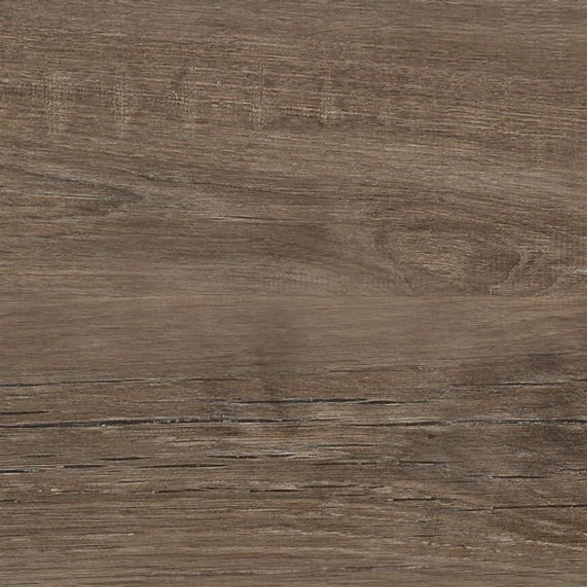 Daltile - Commissary - DAL-COMMISSA-01 - Porcelain Tile