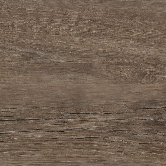 Daltile - Commissary - DAL-COMMISSA-01 - Porcelain Tile