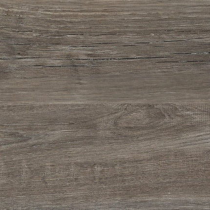 Daltile - Commissary - DAL-COMMISSA-05 - Porcelain Tile