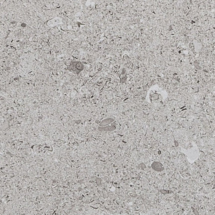 Daltile - Dignitary - DAL-DIGNITAR-04 - Porcelain Tile