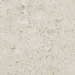 Luminary White