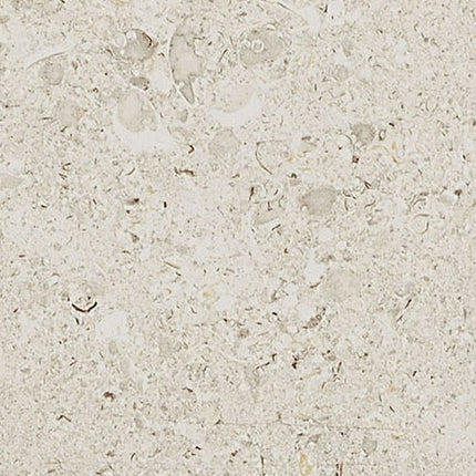 Daltile - Dignitary - DAL-DIGNITAR-01 - Porcelain Tile