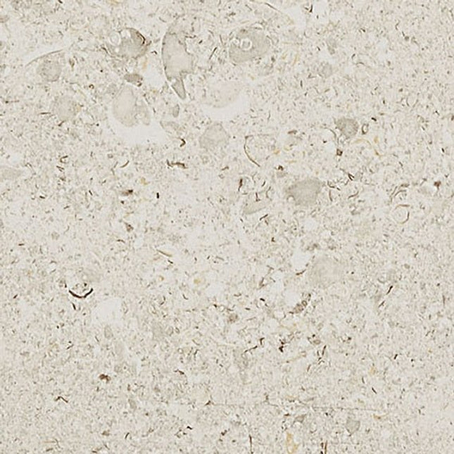 Daltile - Dignitary - DAL-DIGNITAR-01 - Porcelain Tile