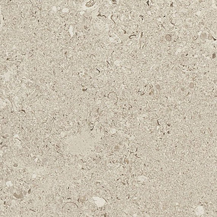 Daltile - Dignitary - DAL-DIGNITAR-02 - Porcelain Tile