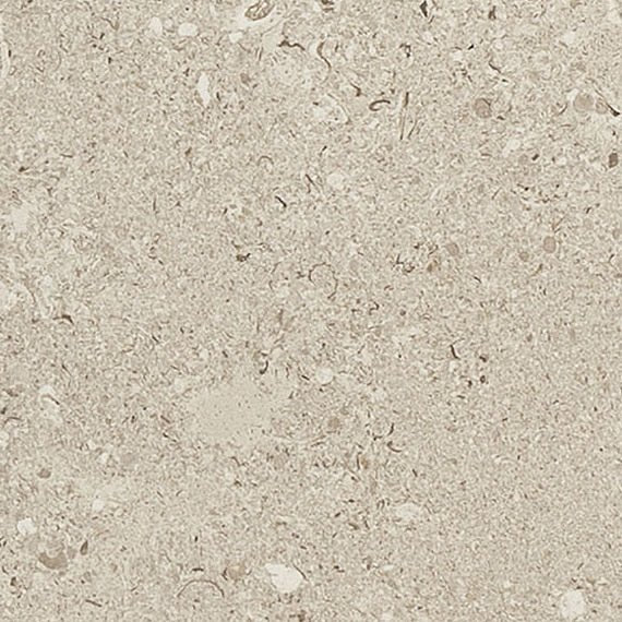 Daltile - Dignitary - DAL-DIGNITAR-02 - Porcelain Tile