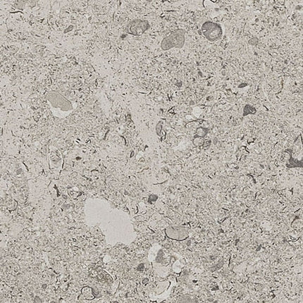 Daltile - Dignitary - DAL-DIGNITAR-05 - Porcelain Tile