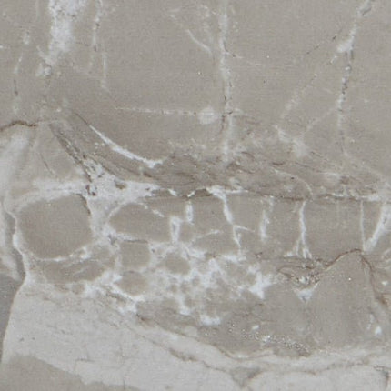 Daltile - Famed - DAL-FAMED-02 - Porcelain Tile