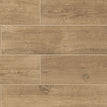 Elm