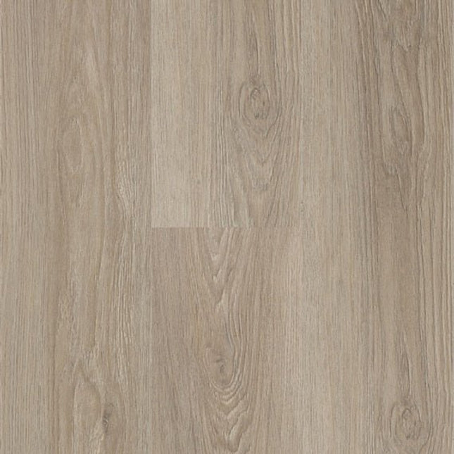 Daltile - Harper's Place - DAL-HARPERSP-01 - Porcelain Tile