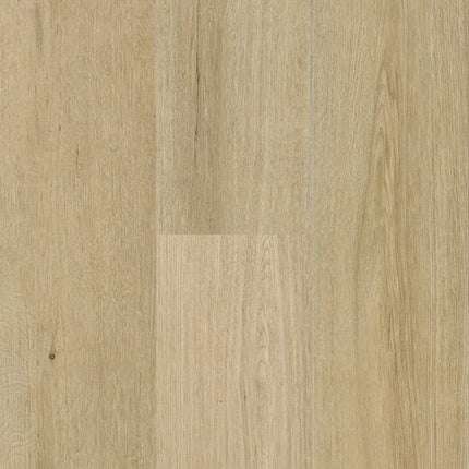 Daltile - Harper's Place - DAL-HARPERSP-03 - Porcelain Tile