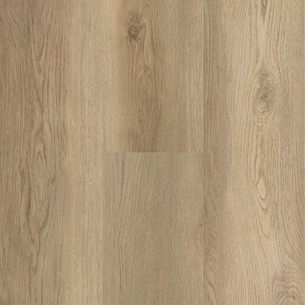 Daltile - Harper's Place - DAL-HARPERSP-04 - Porcelain Tile