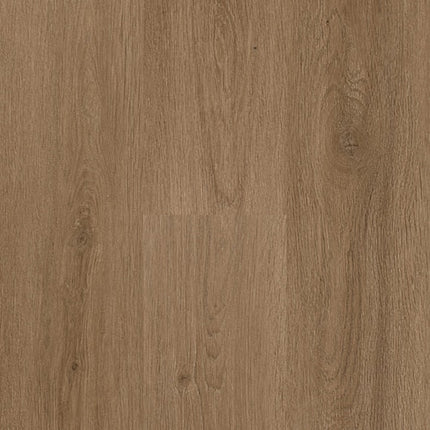 Daltile - Harper's Place - DAL-HARPERSP-08 - Porcelain Tile