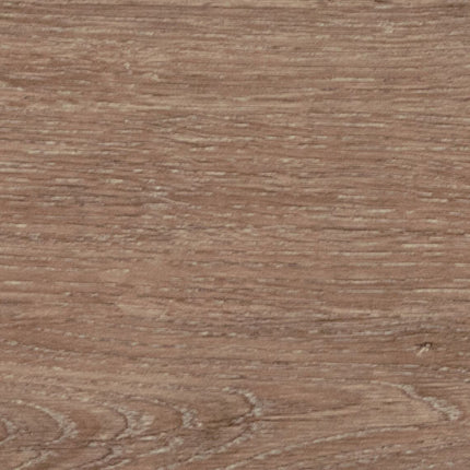 Daltile - Pines Terrace - DAL-PINESTER-03 - Porcelain Tile