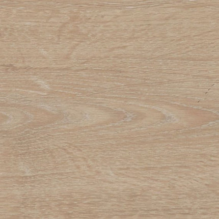 Daltile - Pines Terrace - DAL-PINESTER-01 - Porcelain Tile