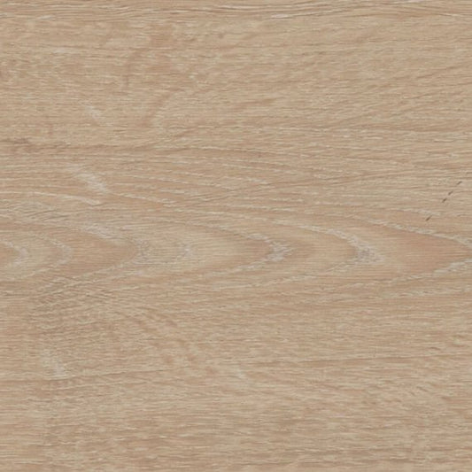 Daltile - Pines Terrace - DAL-PINESTER-01 - Porcelain Tile