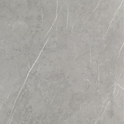 Daltile - Platinum - DAL-PLATINUM-20 - Porcelain Tile