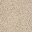 Brushed Ivory