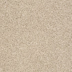 Brushed Ivory